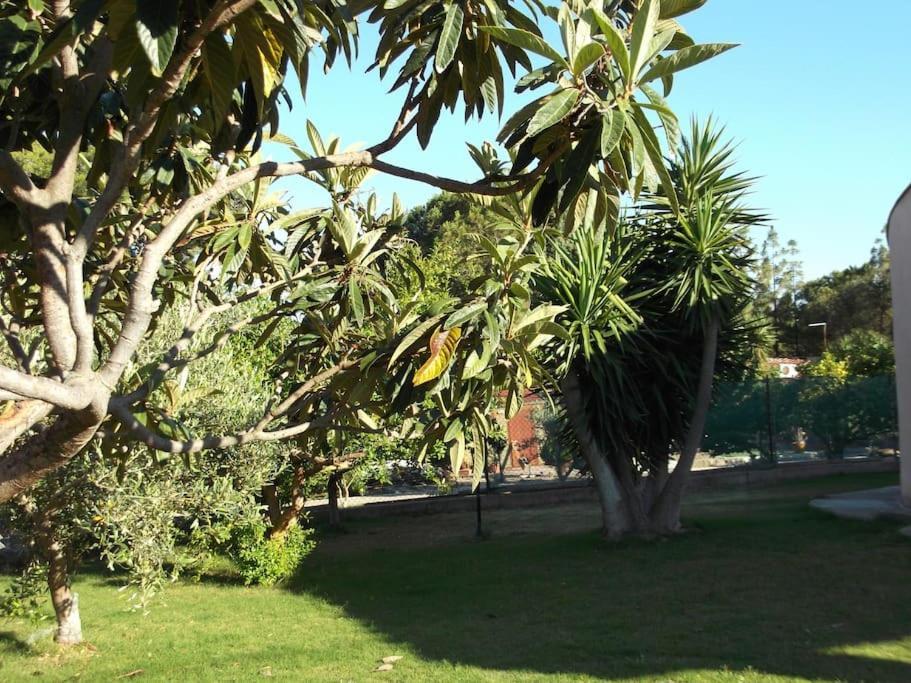 Villa Gabriella Villa San Pietro Exteriör bild